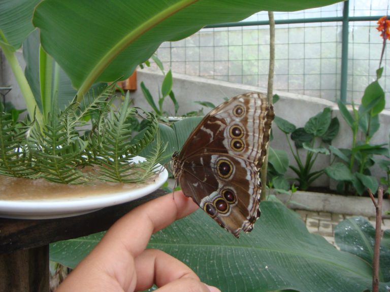 Costa Rica travel retreat Nina RadaRani