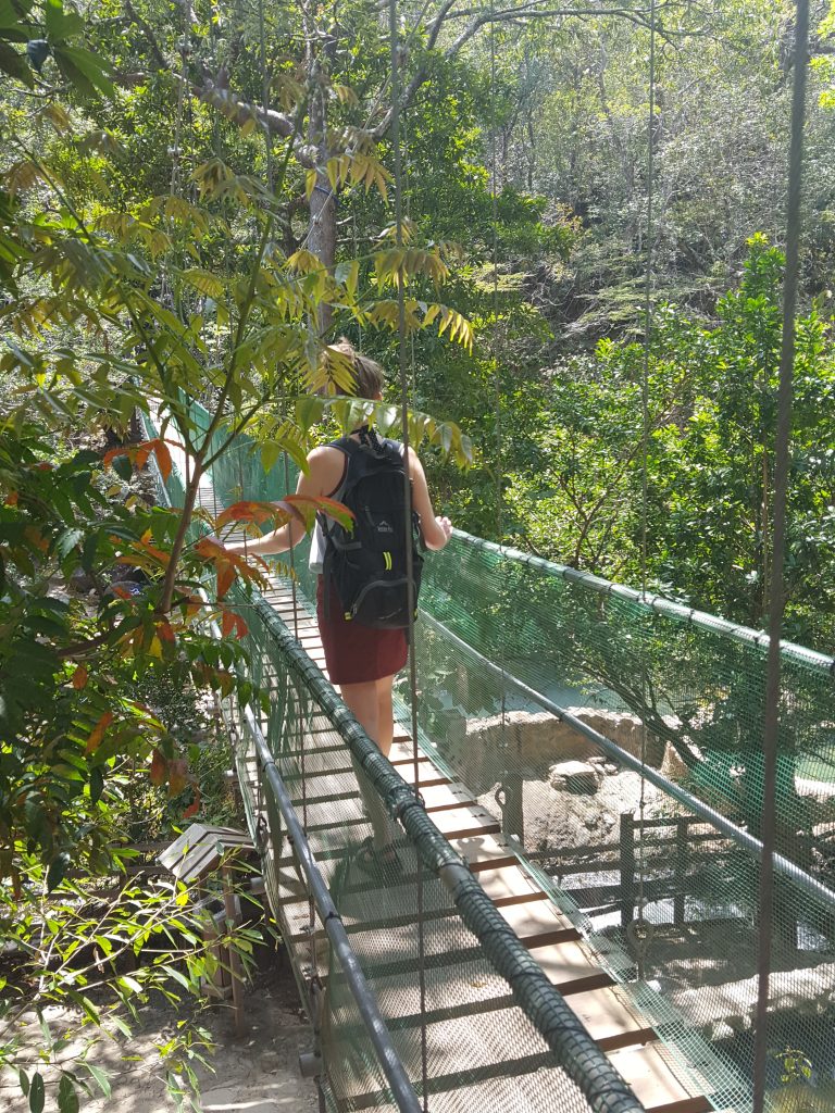 Costa Rica travel retreat Nina RadaRani