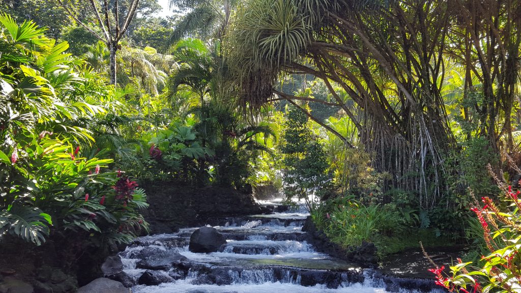 Costa Rica travel retreat Nina RadaRani